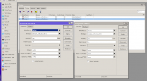 mikrotik_bridge_masterport_3